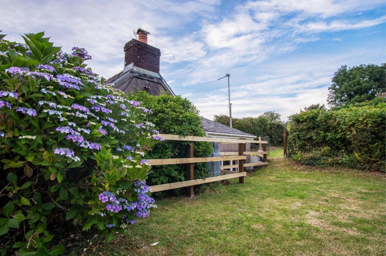 Holloway - 2 Bedroom Cottage - Stepaside Stepaside  外观 照片